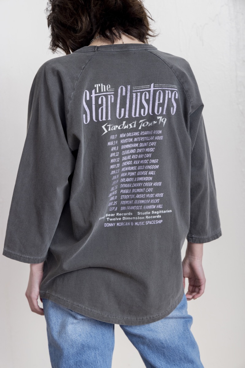 THE STAR CLUSTERS